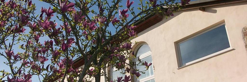 Cascina Marcantonio アックイテルメ エクステリア 写真