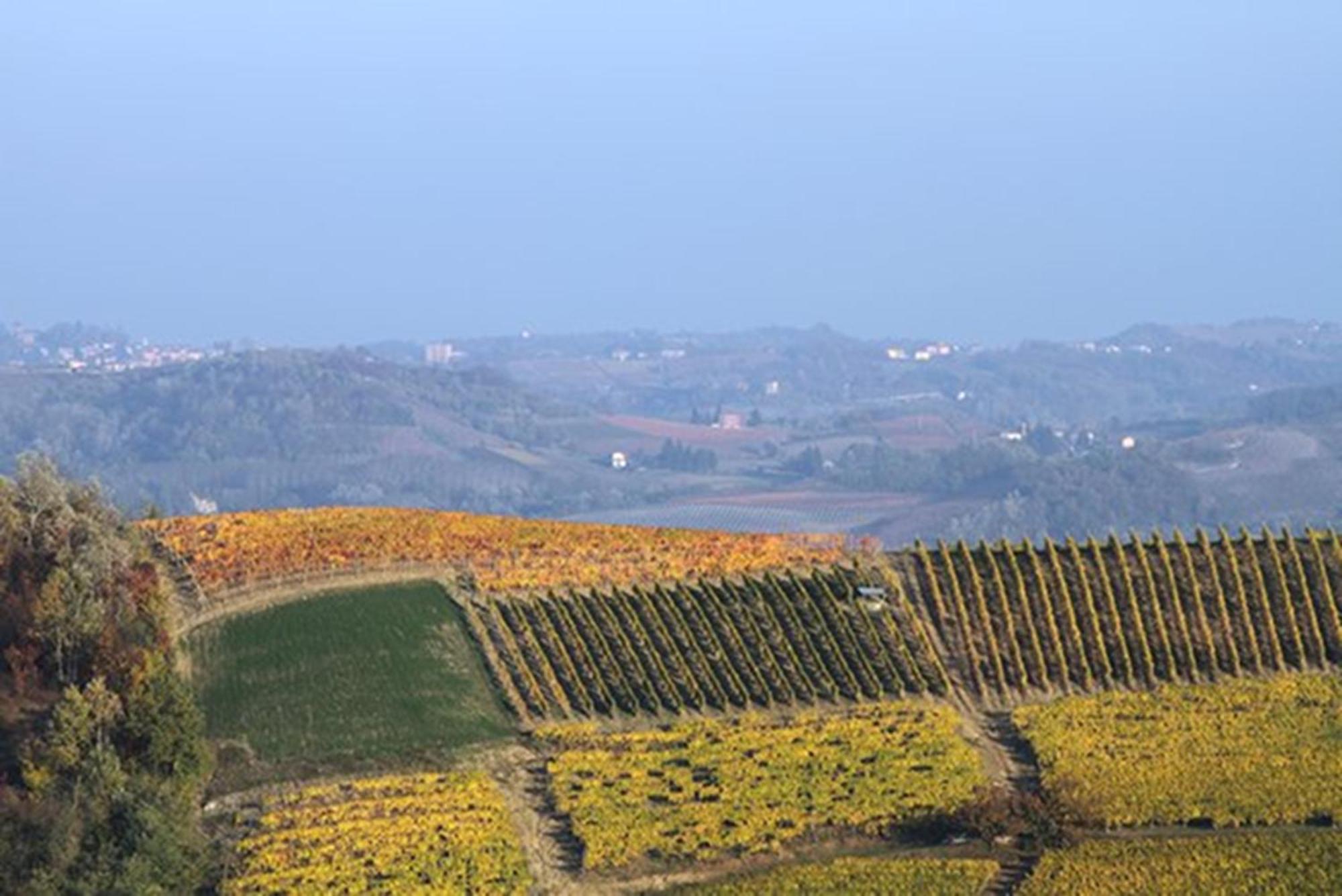 Cascina Marcantonio アックイテルメ エクステリア 写真